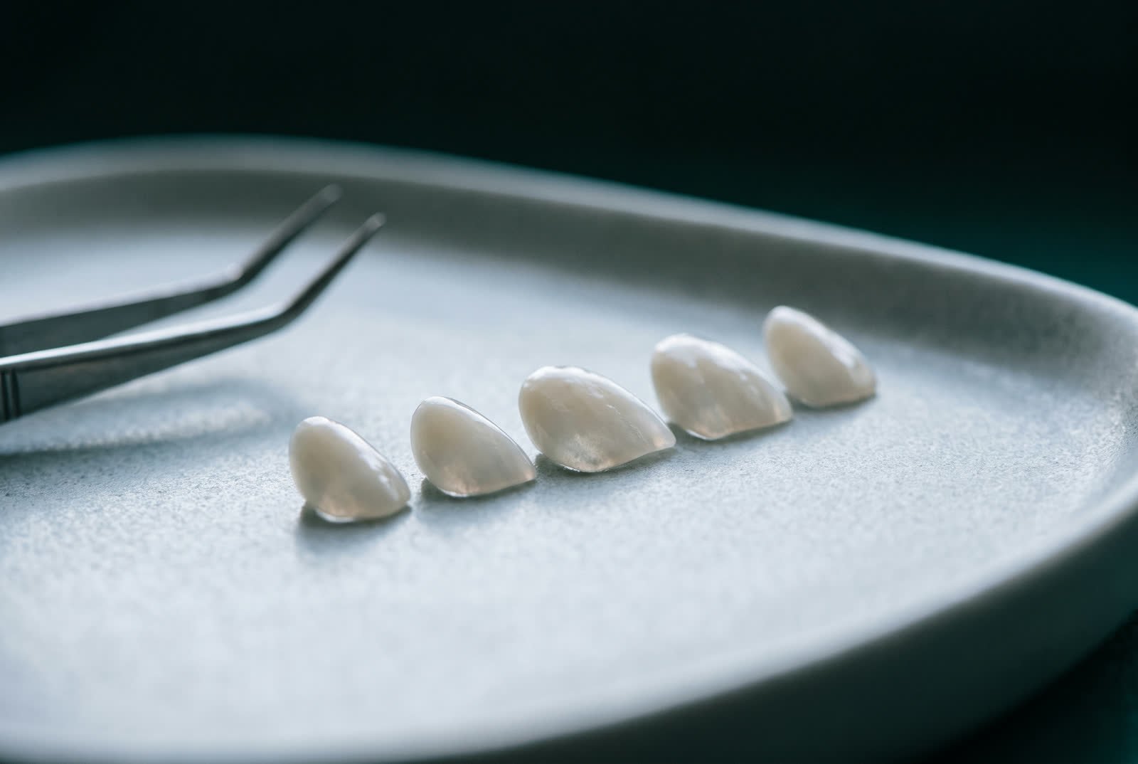 Lâminas de porcelana finíssimas sobre uma bandeja de cerâmica, iluminadas por trás